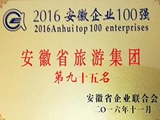 2016年度安徽企業(yè)100強(qiáng)