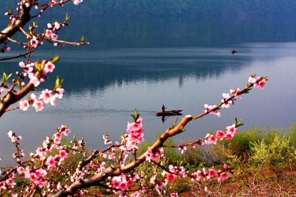 春游江淮請(qǐng)您來(lái)丨清明踏青天堂寨，詩(shī)意美景惹人醉